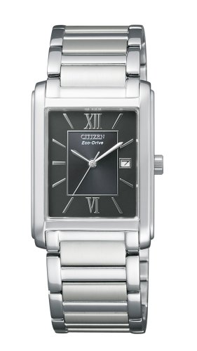 CITIZEN Collection Eco-Drive FRA59-2431 Solar Men's Watch Silver