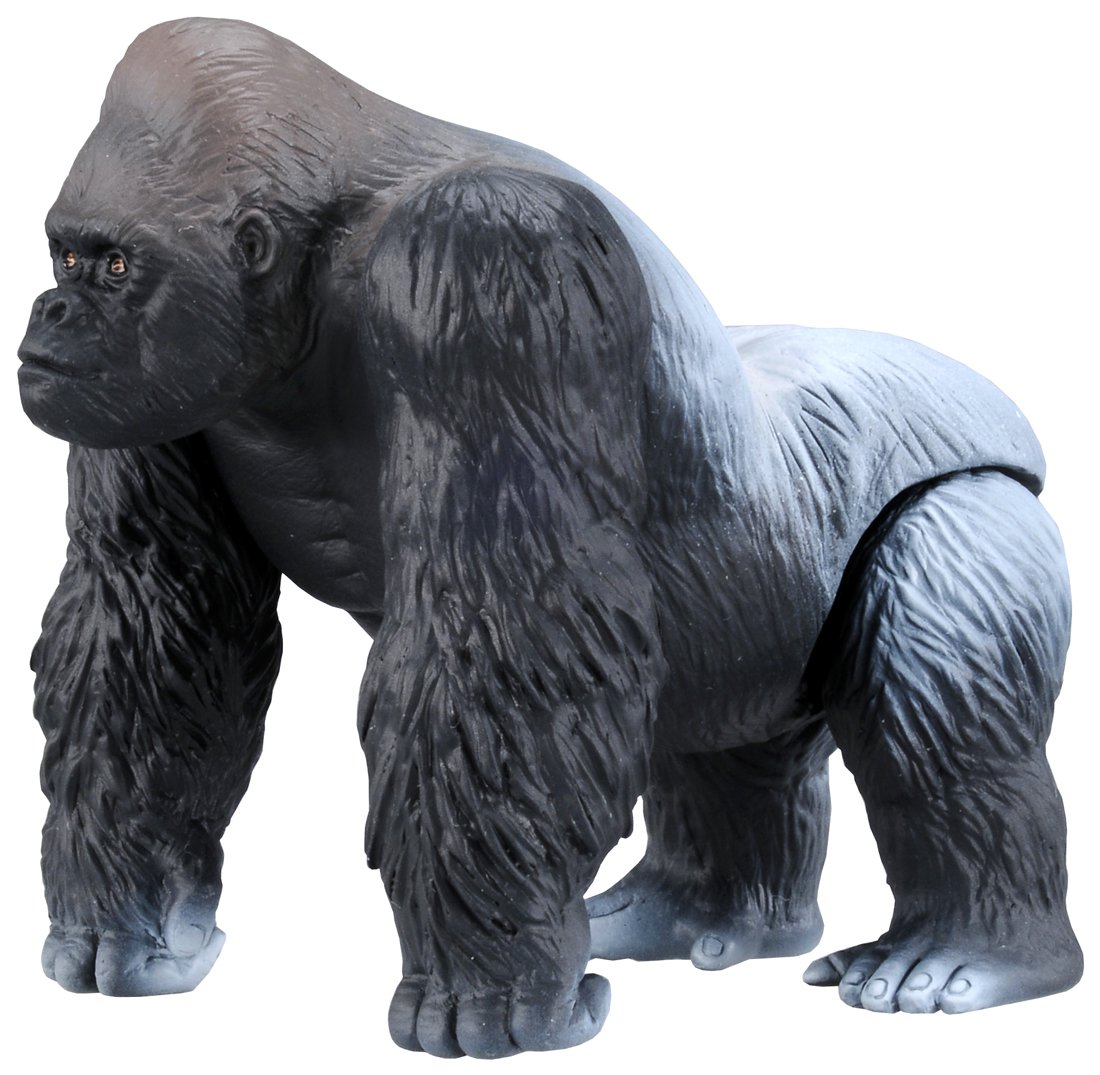 ヒカゲノカズラ　　GORICHA様 Takara Tomy Ania AS-09 Gorilla Action Figure ‎487999 Real Design