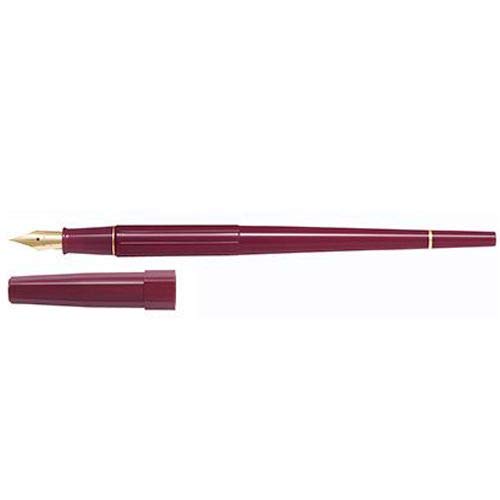 PILOT Desk Pen Extra Fine Point (EF) Red Black Ink resin axis P