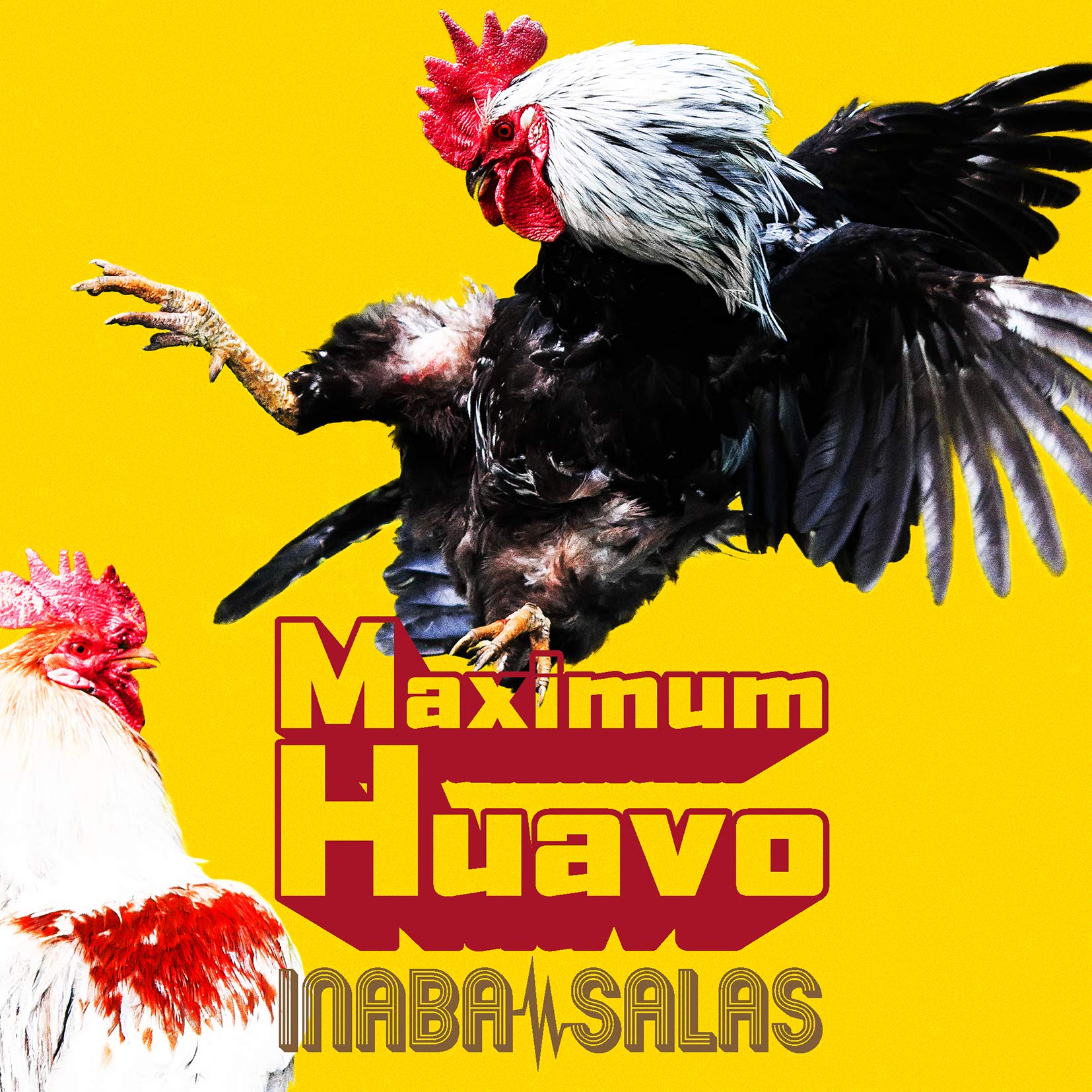2020 INABA KOHSHI STEVIE SALAS MAXIMUM HUAVO B'Z JAPAN CD + BLU