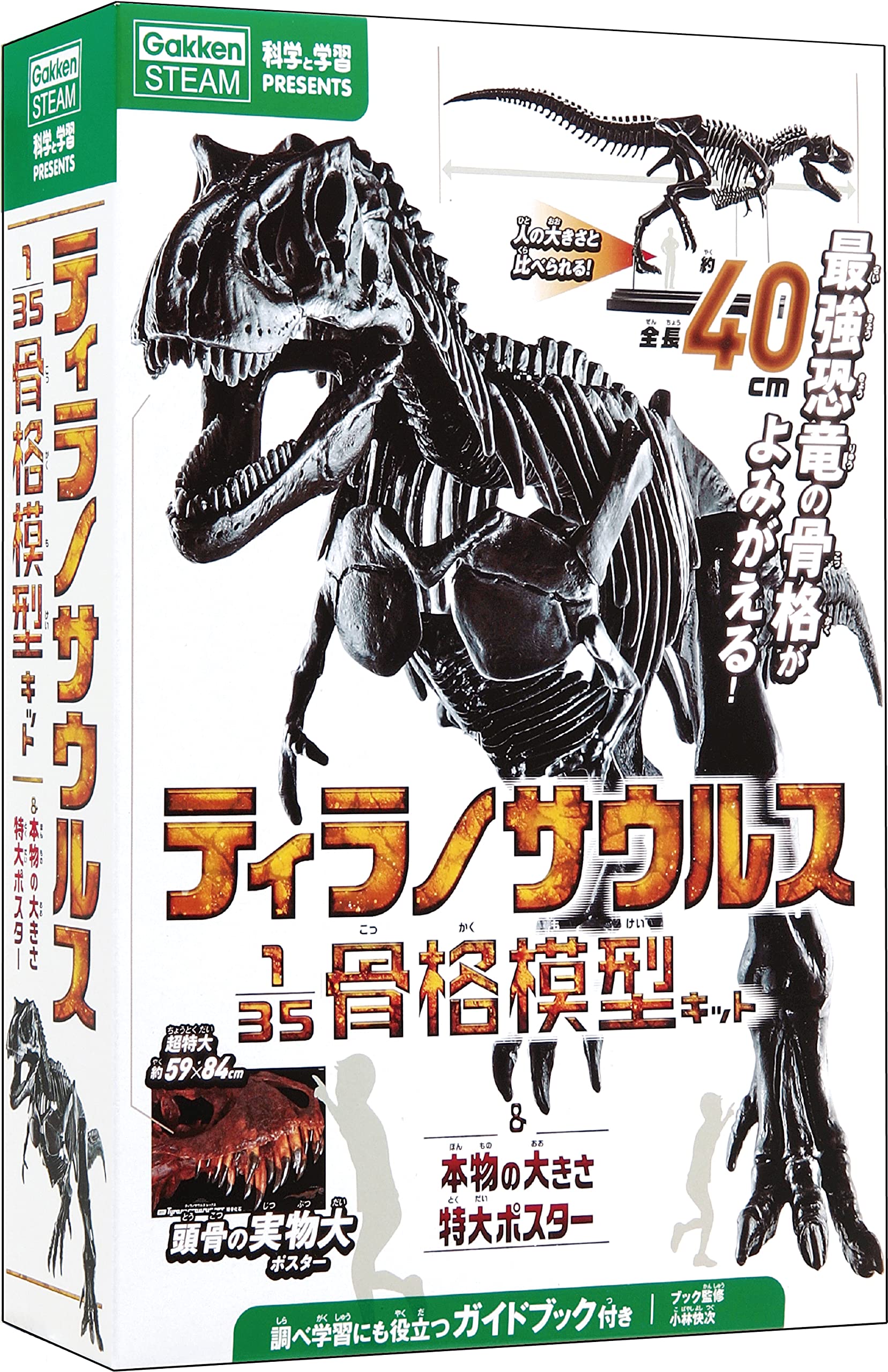 Gakken T-Rex Tyrannosaurus 1/35 Skeleton Model Kit & Real Size