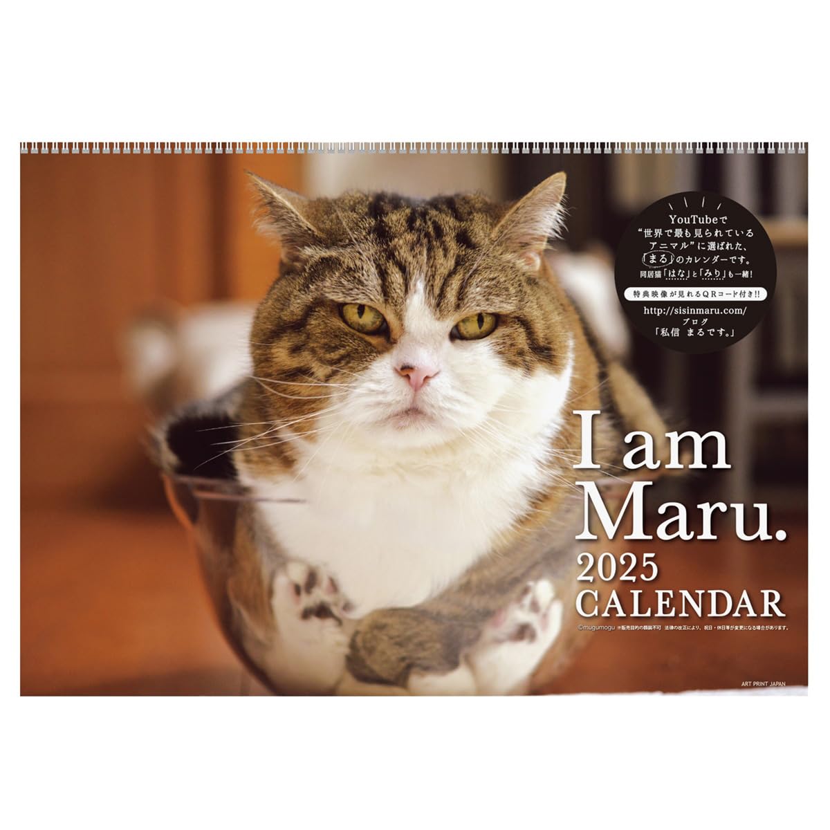 2025 Wall Calendar I am Maru. Neko Cat No.041 Art Print Japan